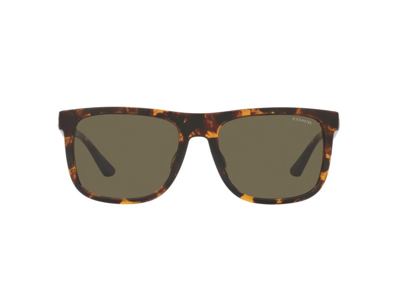Coach Ch581 Sonnenbrille HC 8367U 51203