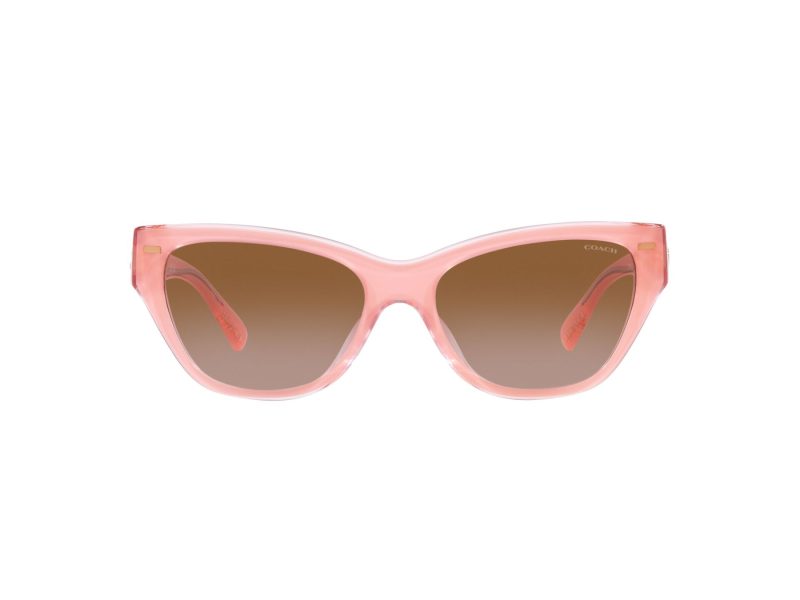 Coach Ch570 Sonnenbrille HC 8370U 574313