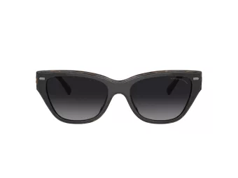 Coach Ch570 Sonnenbrille HC 8370U 5764T3