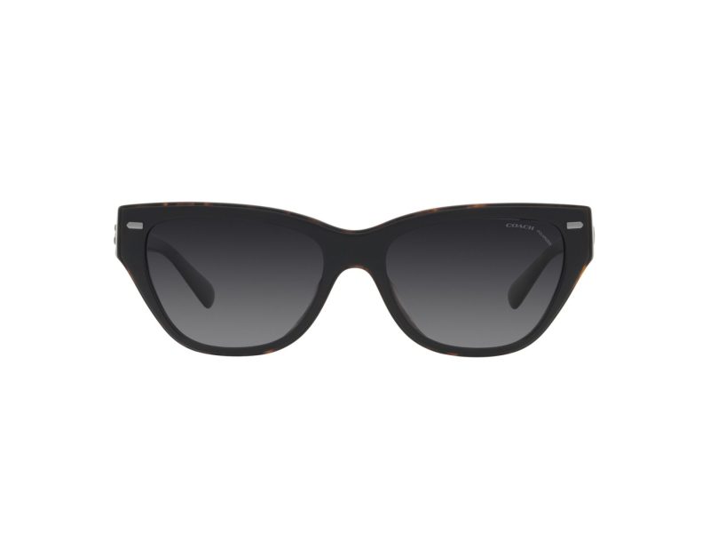 Coach Ch570 Sonnenbrille HC 8370U 5764T3
