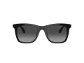 Coach Ch561 Sonnenbrille HC 8374U 50028G