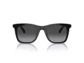 Coach Ch561 Sonnenbrille HC 8374U 50028G