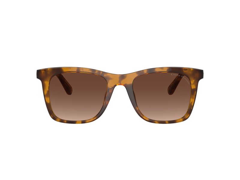 Coach Ch561 Sonnenbrille HC 8374U 5120T5