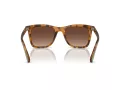 Coach Ch561 Sonnenbrille HC 8374U 5120T5