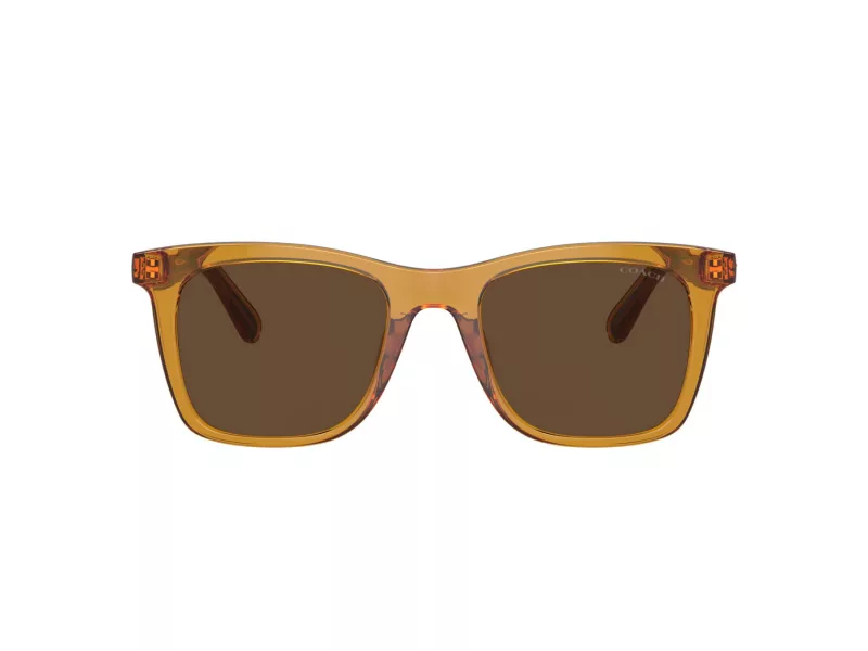 Coach Ch561 Sonnenbrille HC 8374U 57483G