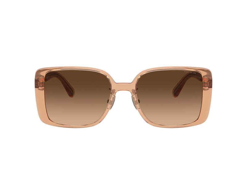 Coach Ch562 Sonnenbrille HC 8375 574974