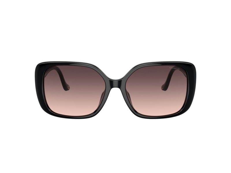 Coach Cl929 Sonnenbrille HC 8376U 5002U8