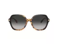 Coach Cl925 Sonnenbrille HC 8377U 577613