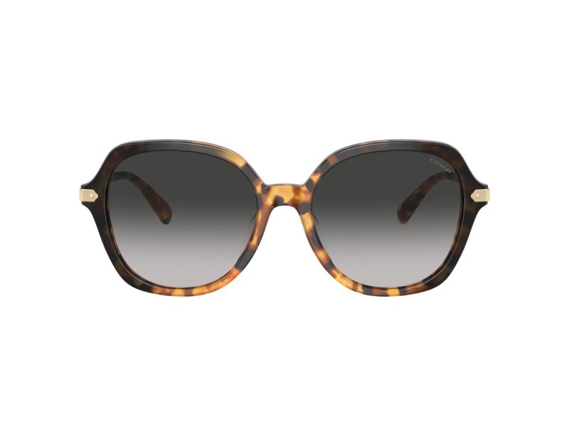 Coach Cl925 Sonnenbrille HC 8377U 577613