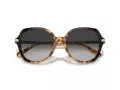Coach Cl925 Sonnenbrille HC 8377U 577613