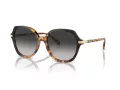 Coach Cl925 Sonnenbrille HC 8377U 577613