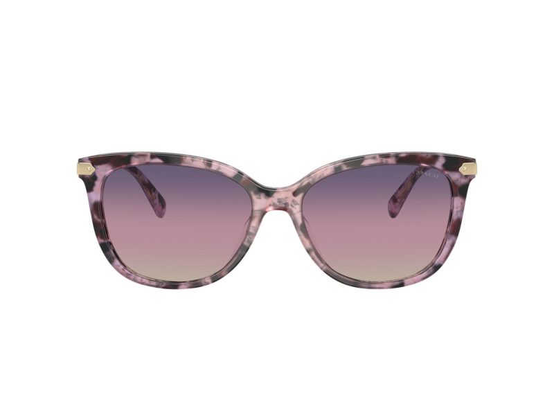 Coach Cl926 Sonnenbrille HC 8378U 5777U6