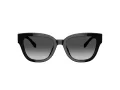 Coach Cl920 Sonnenbrille HC 8379U 5002T3