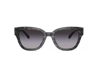 Coach Cl920 Sonnenbrille HC 8379U 55208G