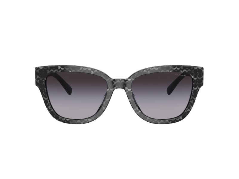 Coach Cl920 Sonnenbrille HC 8379U 55208G