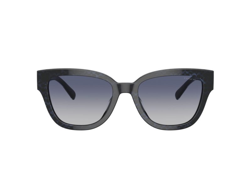 Coach Cl920 Sonnenbrille HC 8379U 57654L