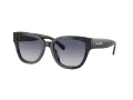 Coach Cl920 Sonnenbrille HC 8379U 57654L