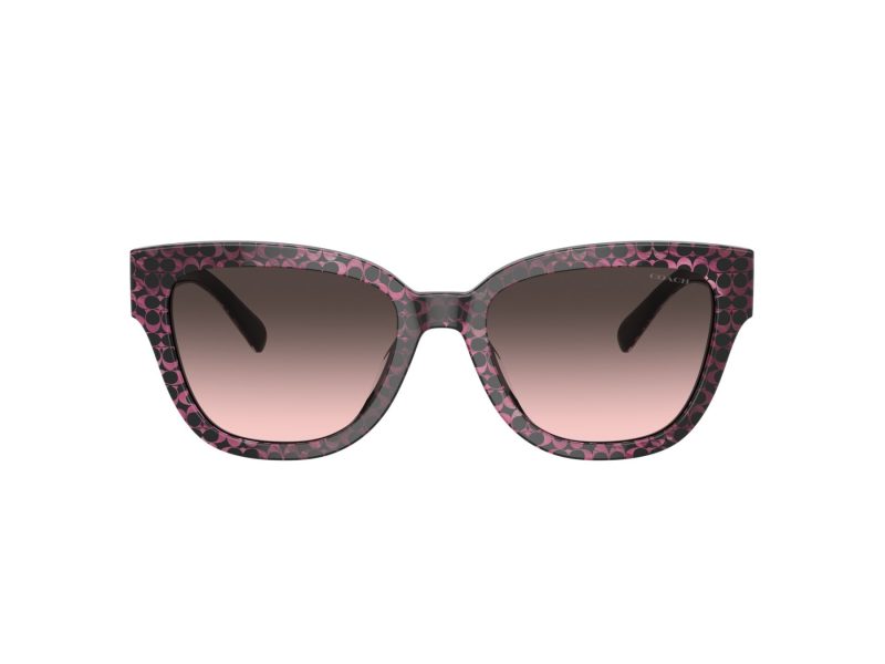 Coach Cl920 Sonnenbrille HC 8379U 578346