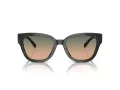 Coach Cl920 Sonnenbrille HC 8379U 578413