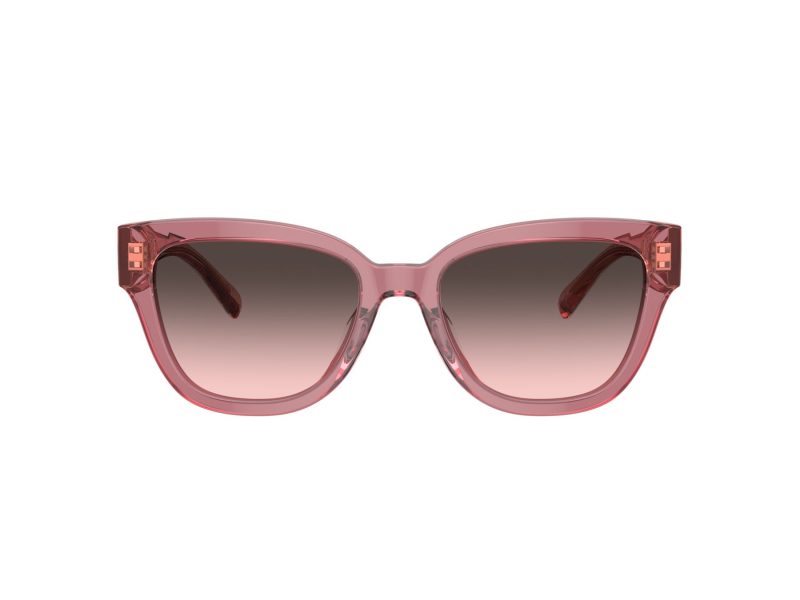 Coach Cl920 Sonnenbrille HC 8379U 580046