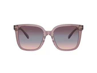 Coach Cl918 Sonnenbrille HC 8381U 57820J