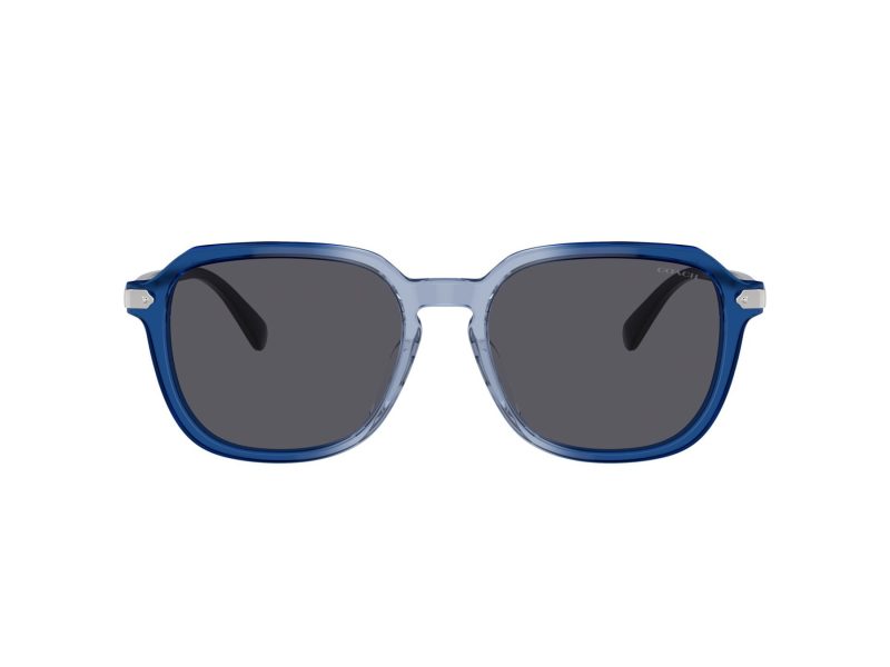 Coach Cl912 Sonnenbrille HC 8383U 579587