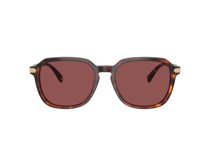 Coach Cl912 Sonnenbrille HC 8383U 579875