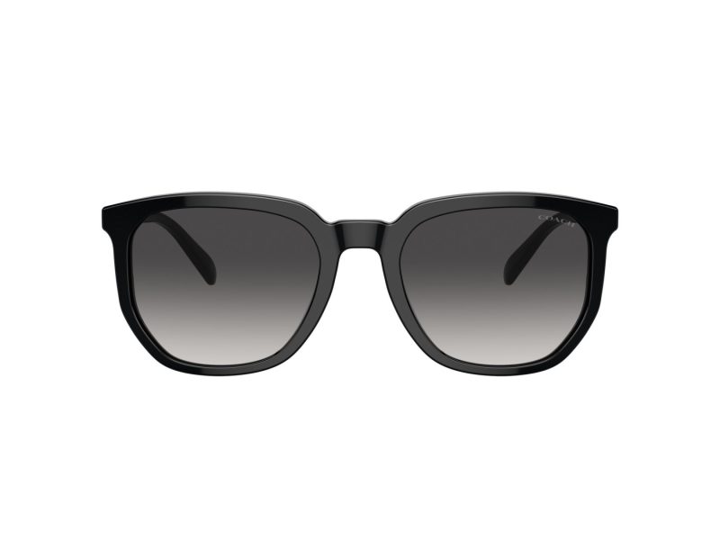 Coach Cl911 Sonnenbrille HC 8384U 50028G
