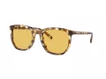 Coach Cl911 Sonnenbrille HC 8384U 504585