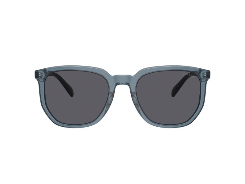Coach Cl911 Sonnenbrille HC 8384U 579487