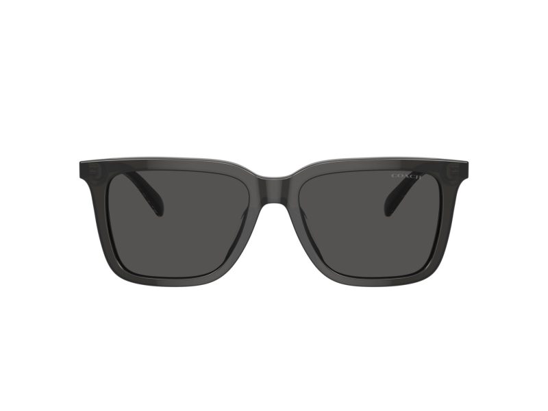 Coach Cl910 Sonnenbrille HC 8385U 579387