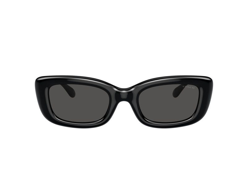 Coach Cr610 Sonnenbrille HC 8390U 500287