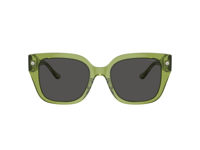 Coach Cr611 Sonnenbrille HC 8392U 581087