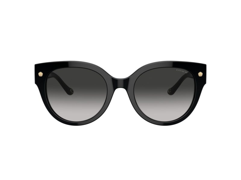 Coach Cr612 Sonnenbrille HC 8393U 50023C