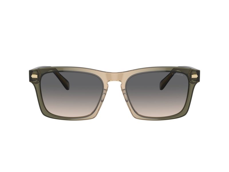 Coach Cr628 Sonnenbrille HC 8397U 5797G9