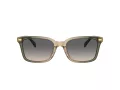 Coach Cr630 Sonnenbrille HC 8398U 5797G9