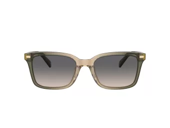 Coach Cr630 Sonnenbrille HC 8398U 5797G9