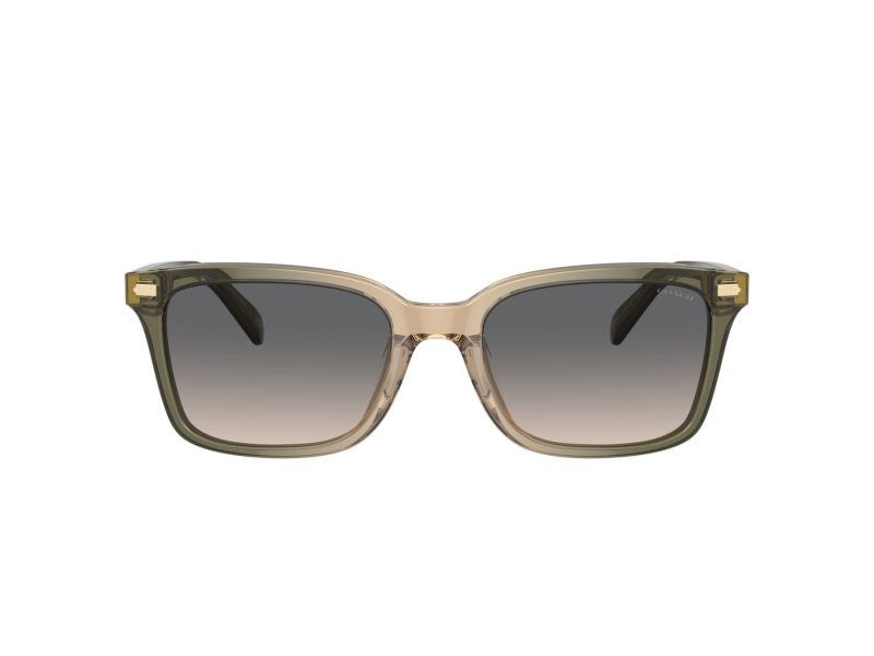 Coach Cr630 Sonnenbrille HC 8398U 5797G9