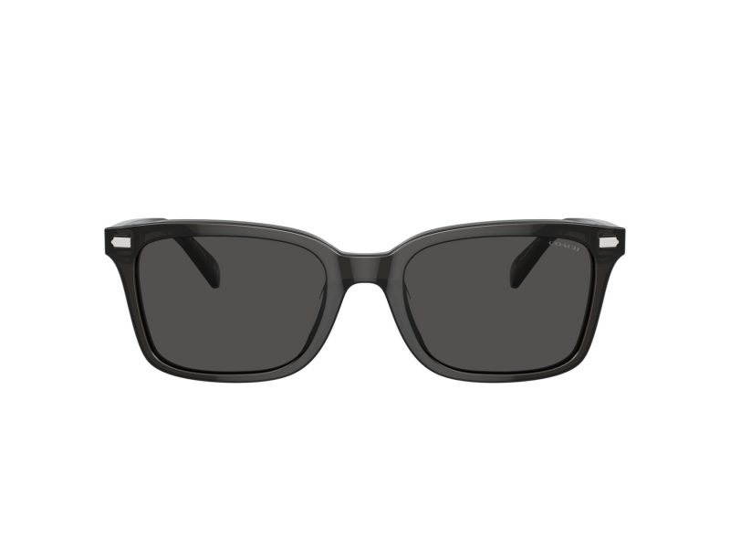 Coach Cr630 Sonnenbrille HC 8398U 581787
