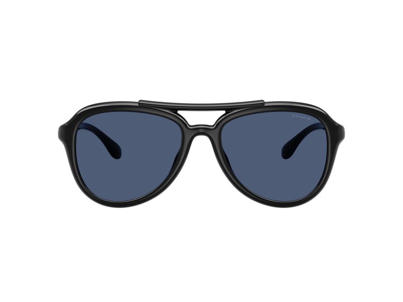 Coach Cw183 Sonnenbrille HC 8406U 500287