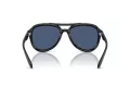 Coach Cw183 Sonnenbrille HC 8406U 500287