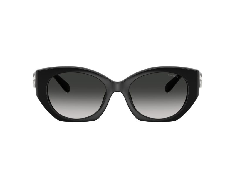 Coach Cw194 Sonnenbrille HC 8407U 50023C