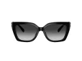 Coach Cw195 Sonnenbrille HC 8408U 50023C