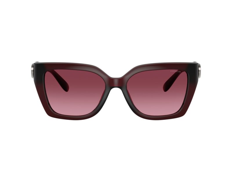 Coach Cw195 Sonnenbrille HC 8408U 53938H