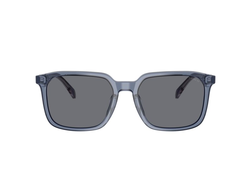 Coach Cw405 Sonnenbrille HC 8411U 582087