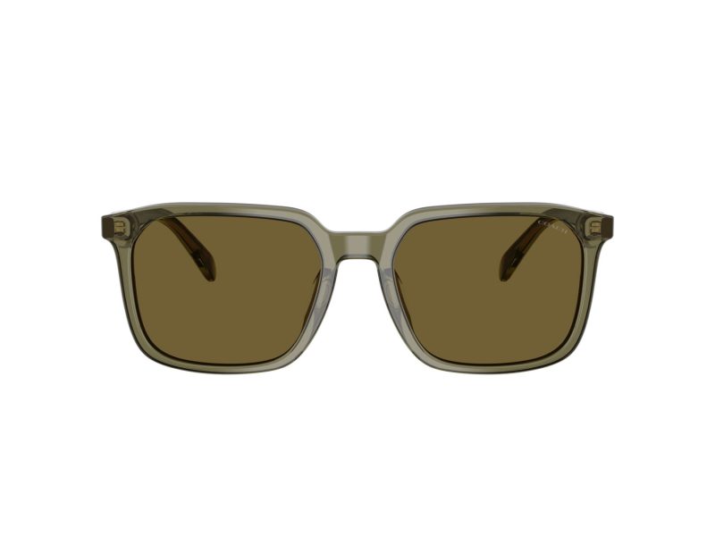 Coach Cw405 Sonnenbrille HC 8411U 5848S7