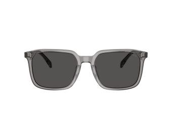 Coach Cw405 Sonnenbrille HC 8411U 584987