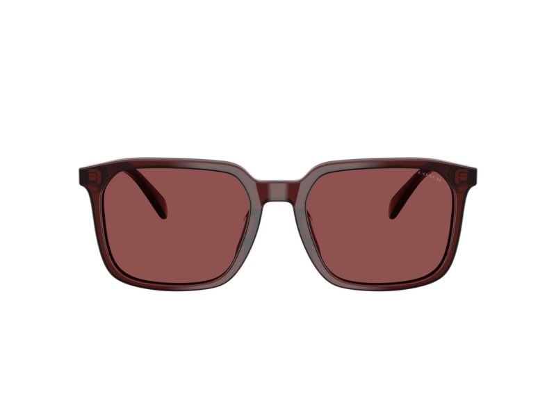 Coach Cw405 Sonnenbrille HC 8411U 585075