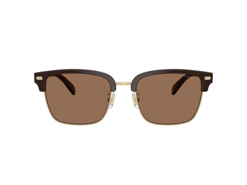 Coach Cw406 Sonnenbrille HC 8412 554273