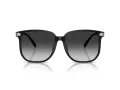 Coach Cw419 Sonnenbrille HC 8413BD 50023C